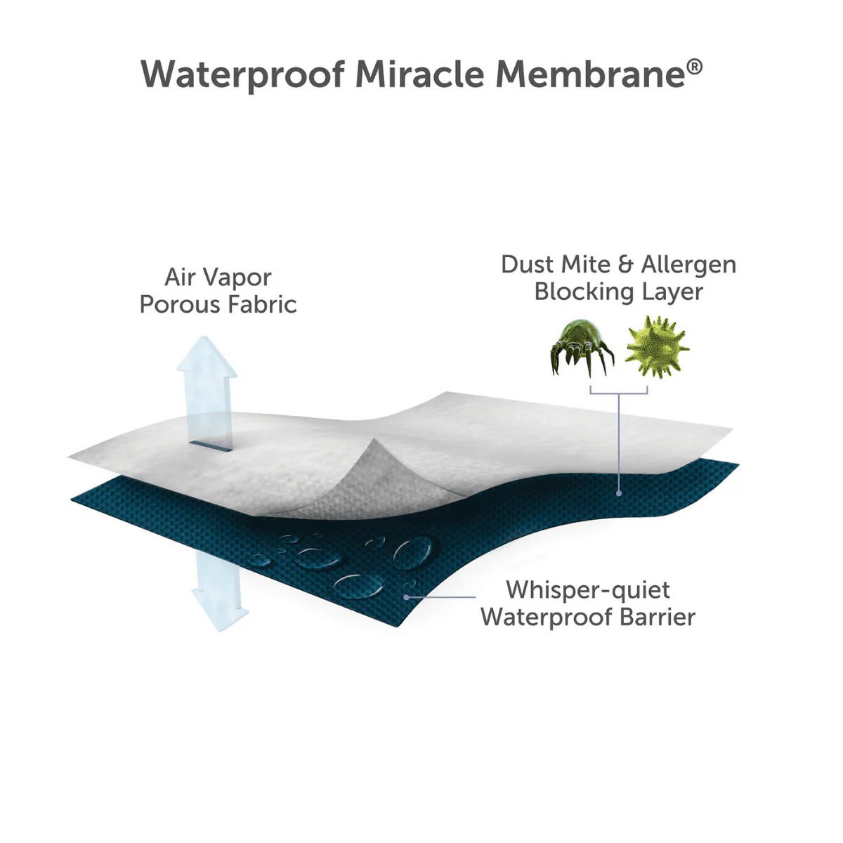 Essential Mattress Protector - Image 4